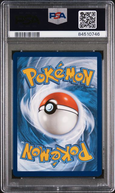 69e3e07472bb610c2197f410_venusaur-84510746-back_1783575777232.jpg
