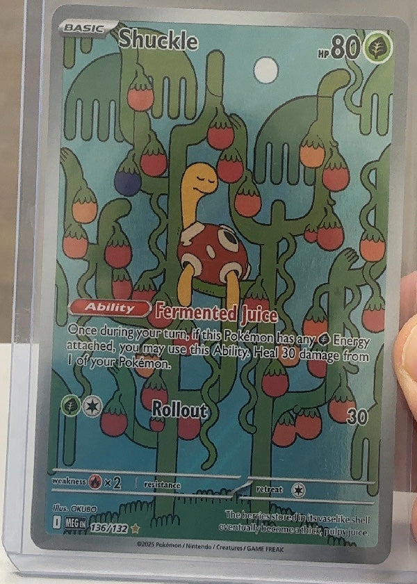 Shuckle - 136/132