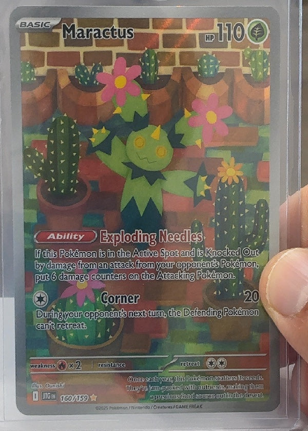 Maractus - 160/159