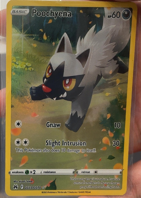 Poochyena