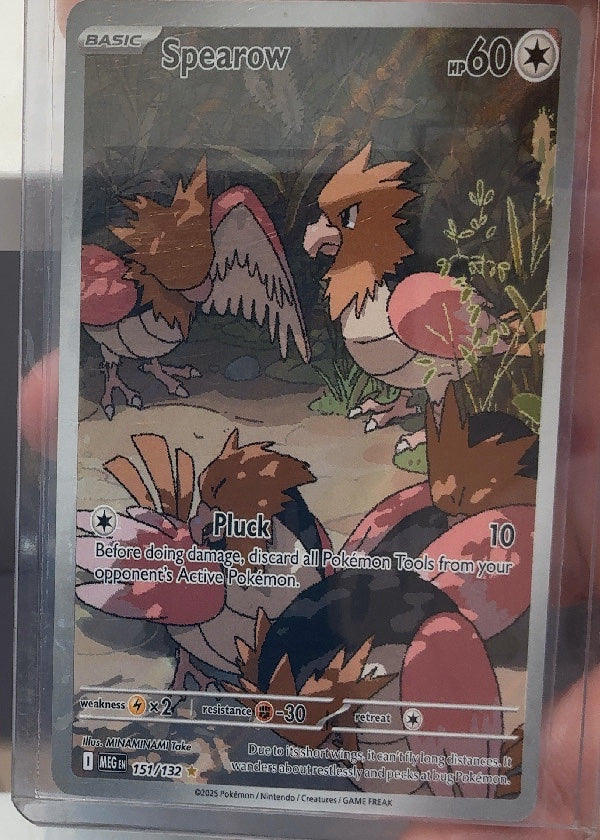 Spearow - 151/132