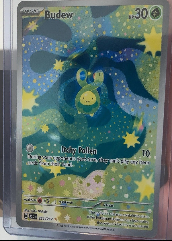 Budew - 221/217