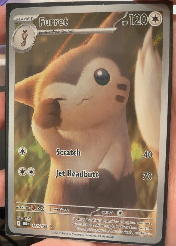 Furret - 168/159