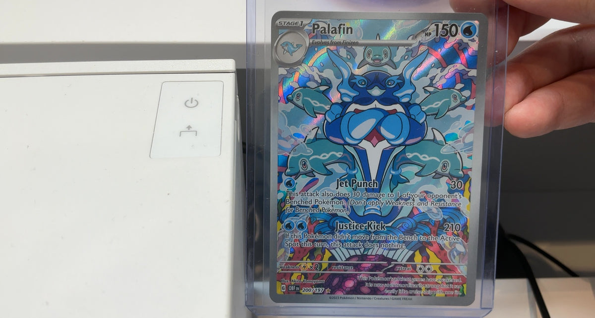 Palafin - 200/197