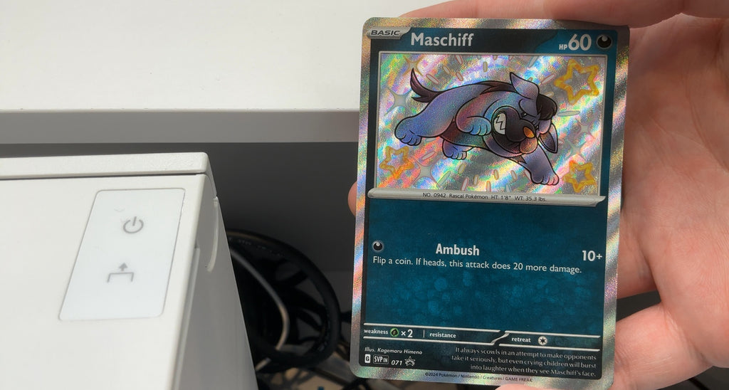 Maschiff - 071